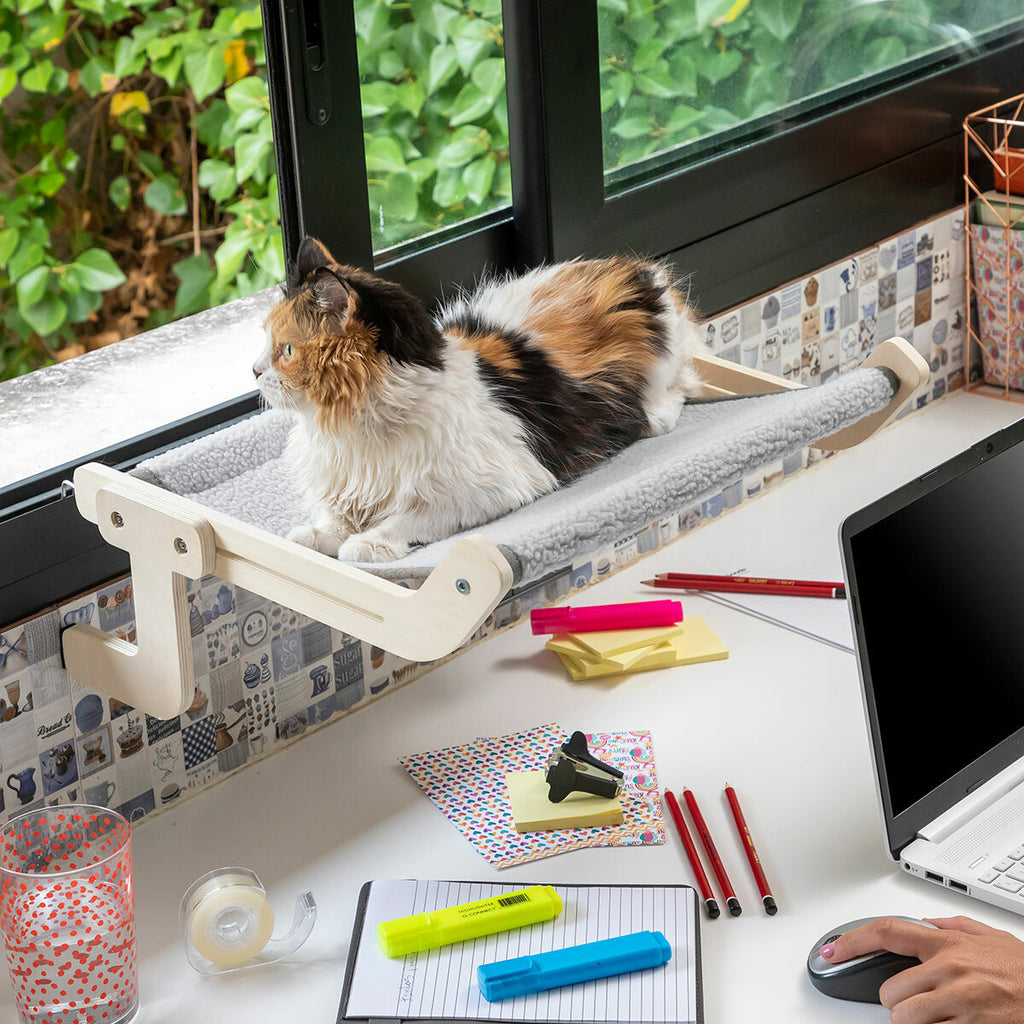 Hamac Suspendu pour Chat – Hamacat | Confort & Design