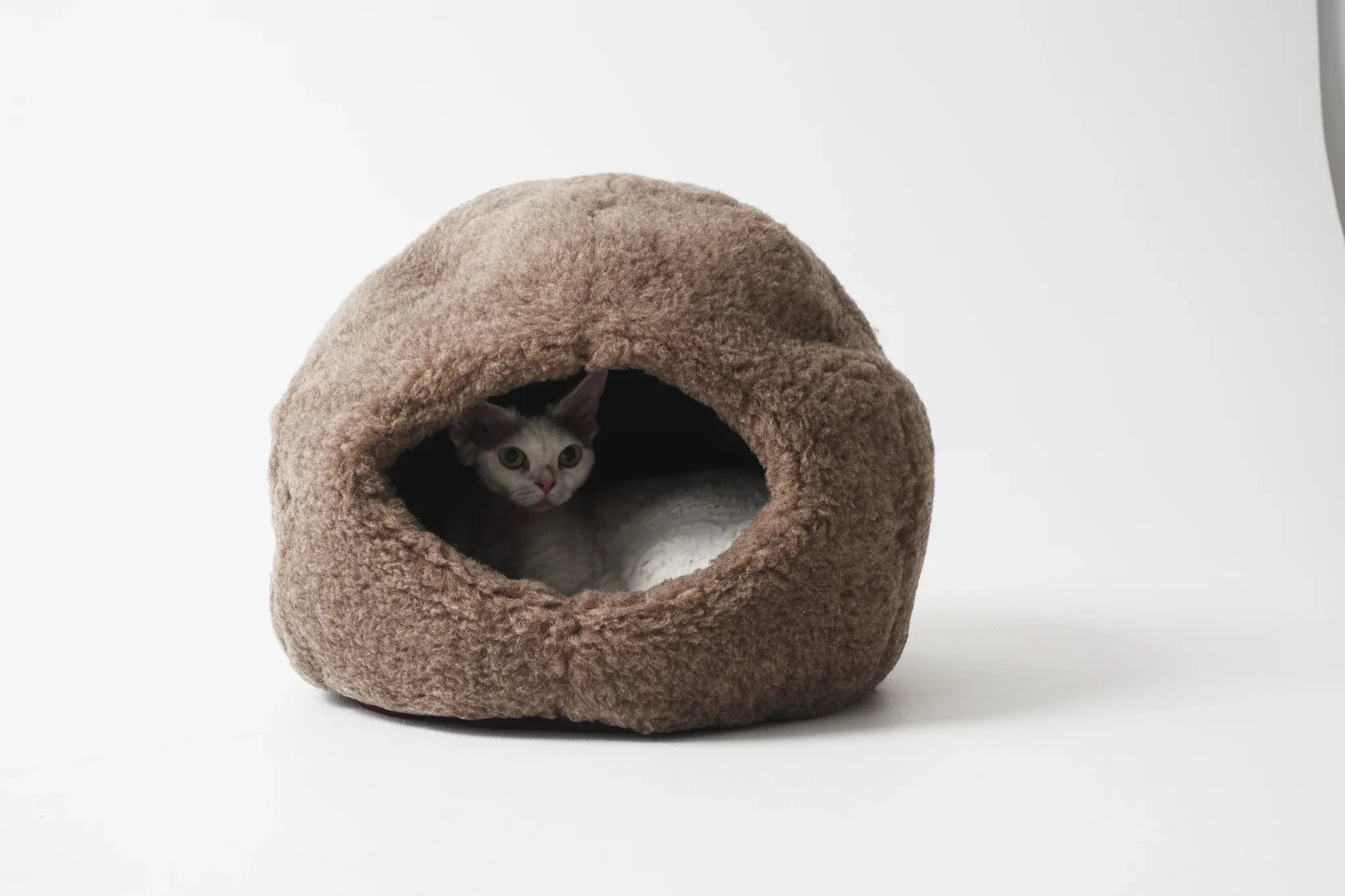 Dôme Nest en Laine Naturelle – Beige | Cocon Artisanal pour Animal