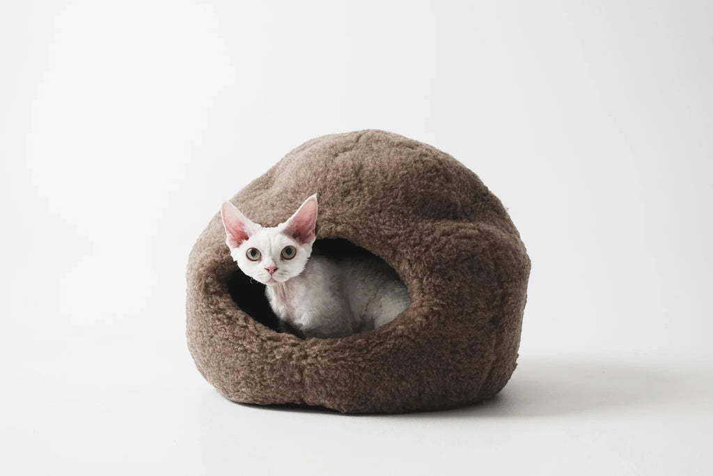 Dôme Nest en Laine Naturelle – Beige | Cocon Artisanal pour Animal