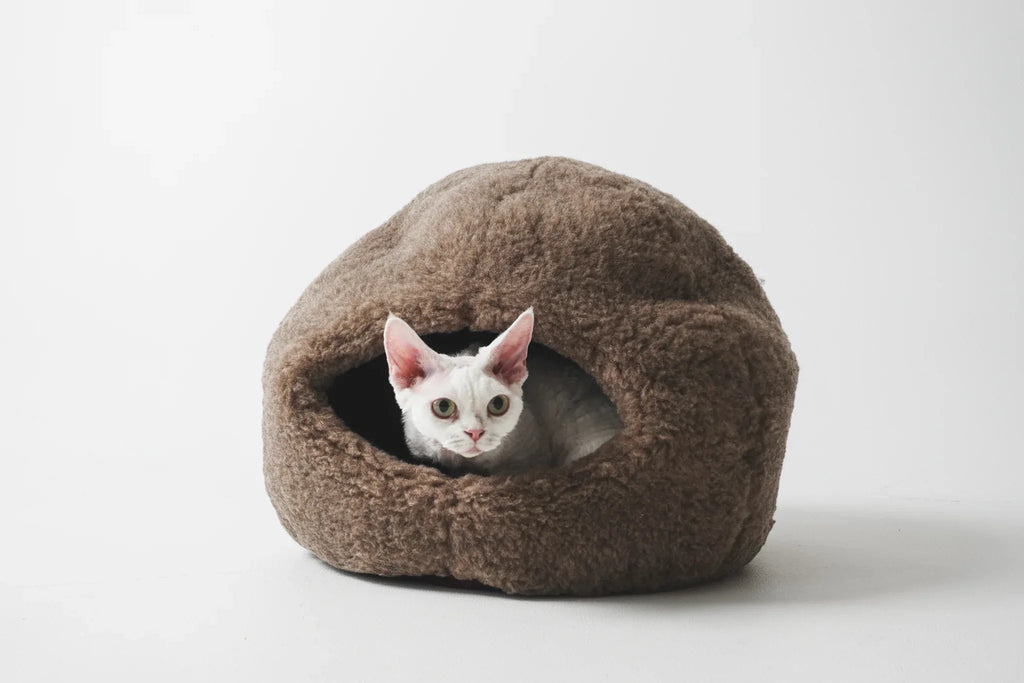 Dôme Nest en Laine Naturelle – Beige | Cocon Artisanal pour Animal