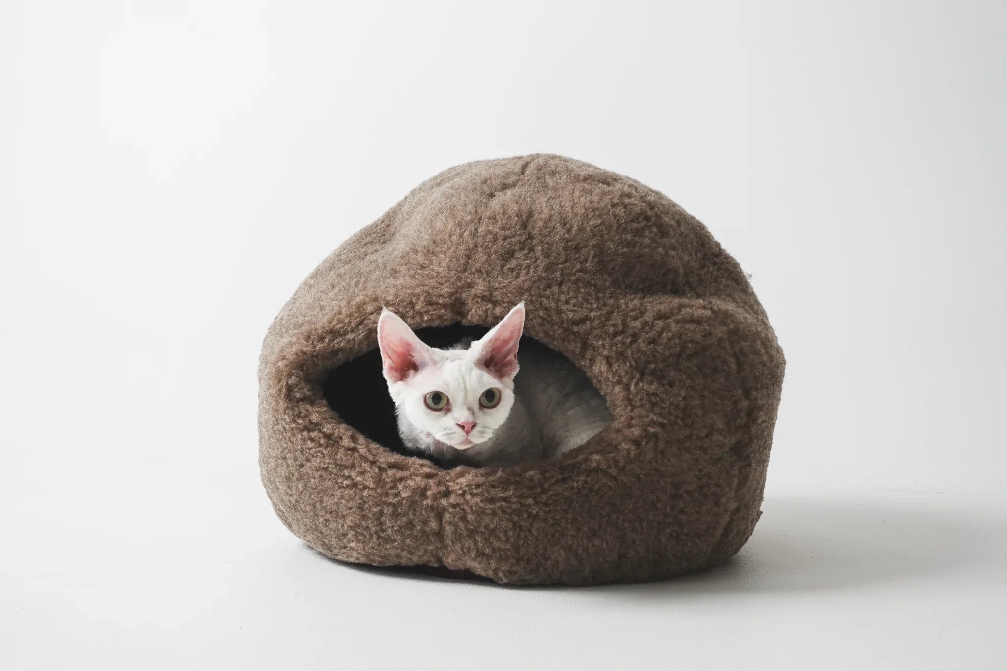 Dôme Nest en Laine Naturelle – Beige | Cocon Artisanal pour Animal