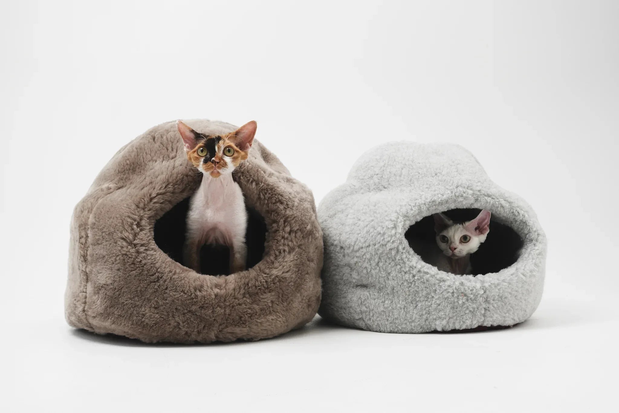 Dôme Nest en Laine Naturelle – Beige | Cocon Artisanal pour Animal