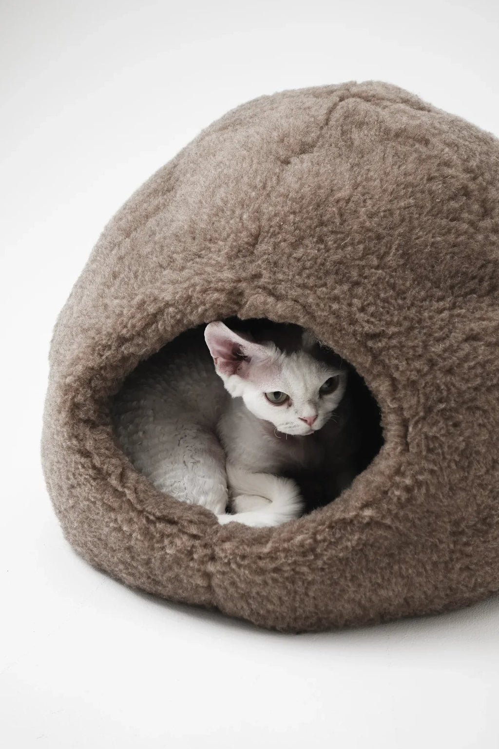 Dôme Nest en Laine Naturelle – Beige | Cocon Artisanal pour Animal