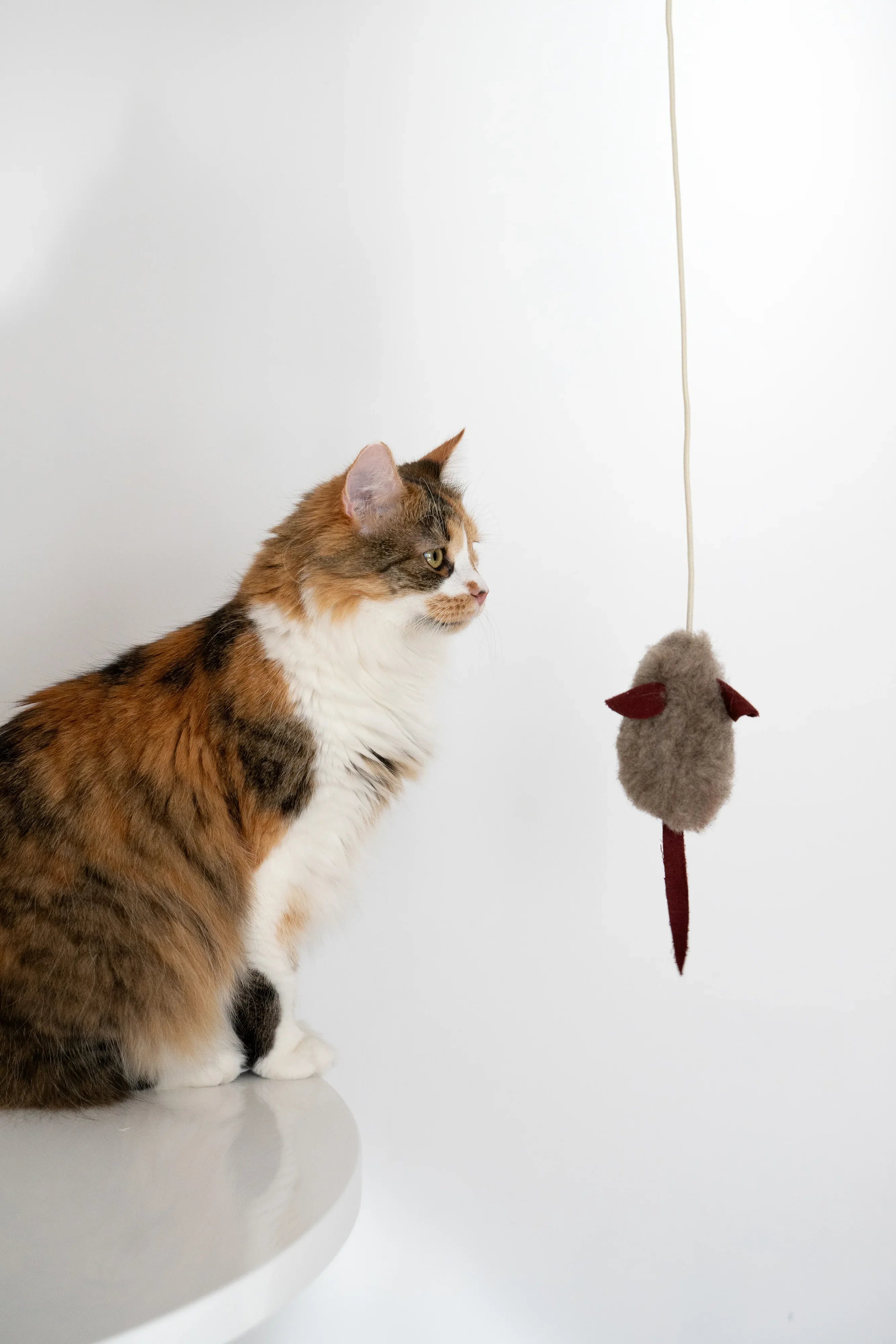 Jouet pour Chat en Laine Naturelle – Petite Souris | Grelot & Bois