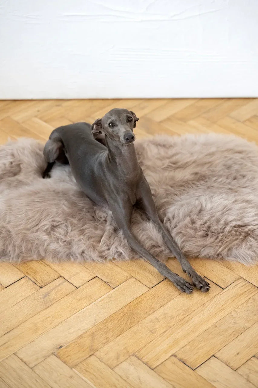 Tapis en Peau de Mouton Naturelle – Greige | Artisanat des Tatras