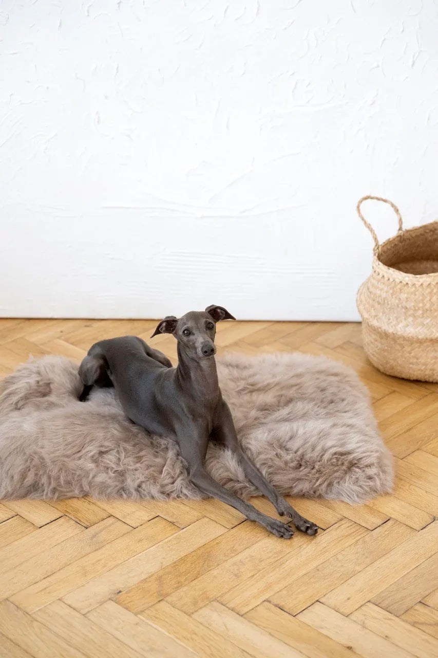 Tapis en Peau de Mouton Naturelle – Greige | Artisanat des Tatras