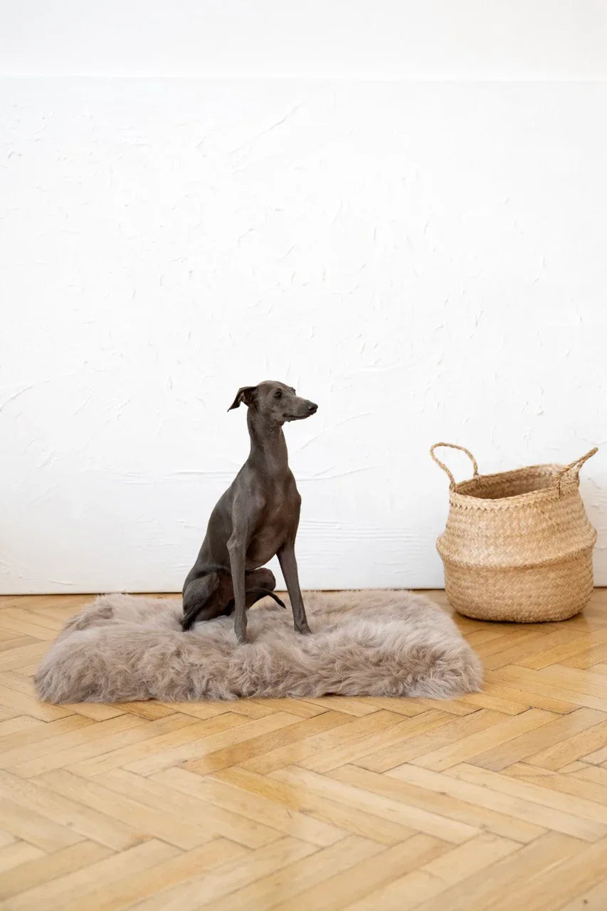 Tapis en Peau de Mouton Naturelle – Greige | Artisanat des Tatras
