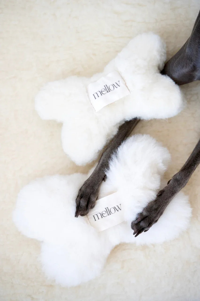 Jouet en Laine Naturelle pour Chien – Os Blanc Écru | Éco & Design