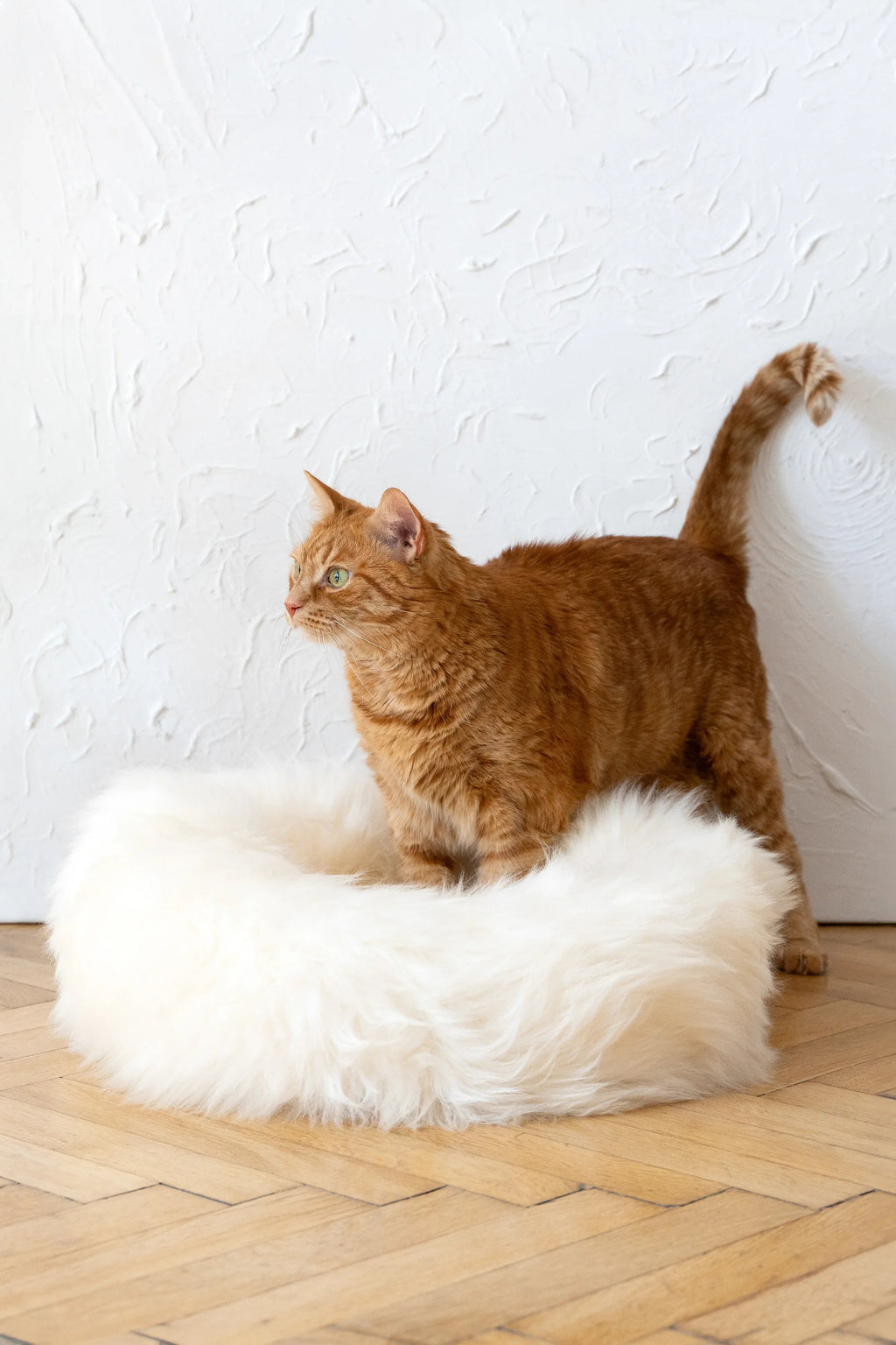 Lit Rond en Peau de Mouton Naturelle – Blanc Ivoire | Artisanat