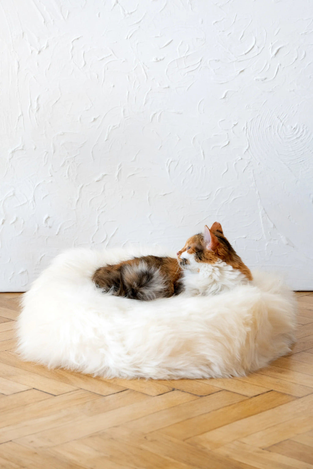 Lit Rond en Peau de Mouton Naturelle – Blanc Ivoire | Artisanat