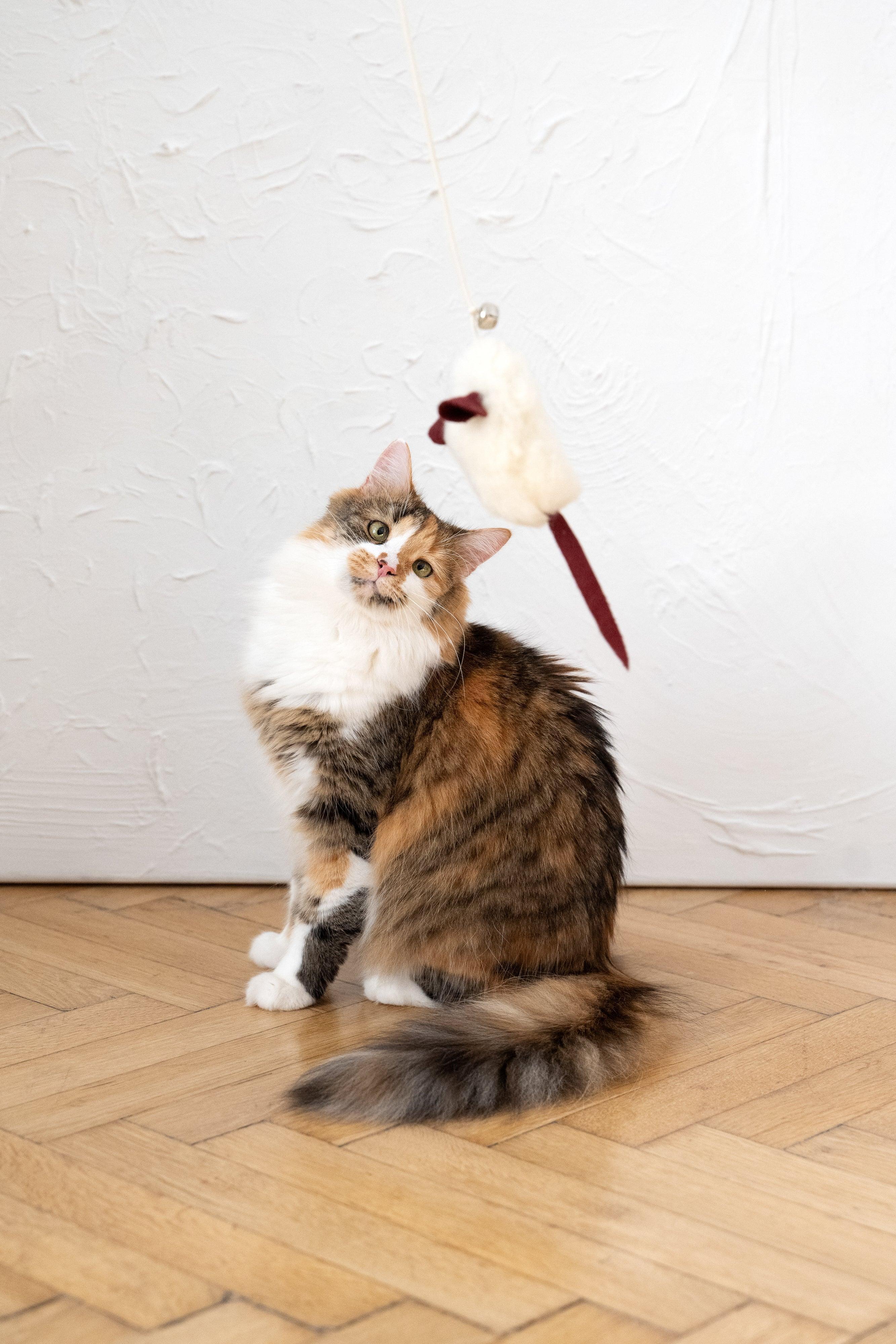 Jouet pour Chat en Laine Naturelle – Petite Souris | Grelot & Bois
